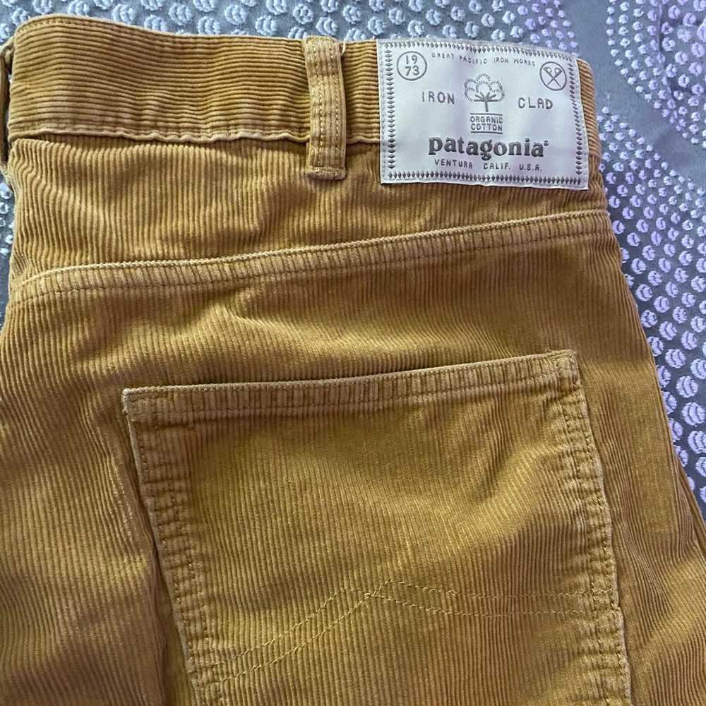 Men’s Patagonia corduroy pants